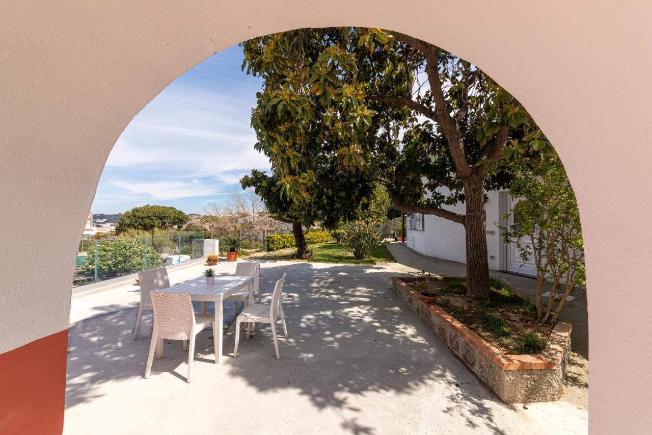Casa Degli Aranci Villa Forio di Ischia Exteriör bild