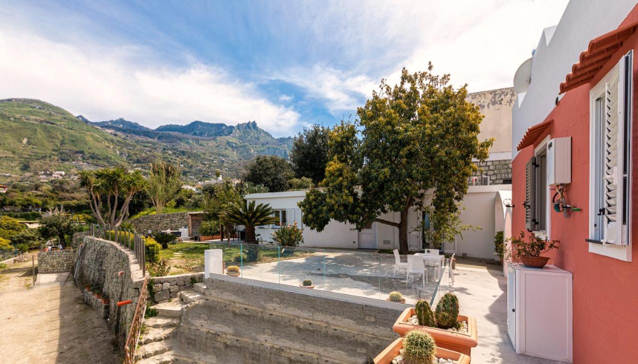 Casa Degli Aranci Villa Forio di Ischia Exteriör bild