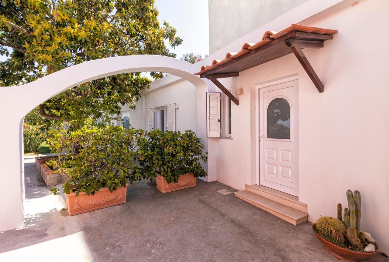 Casa Degli Aranci Villa Forio di Ischia Exteriör bild